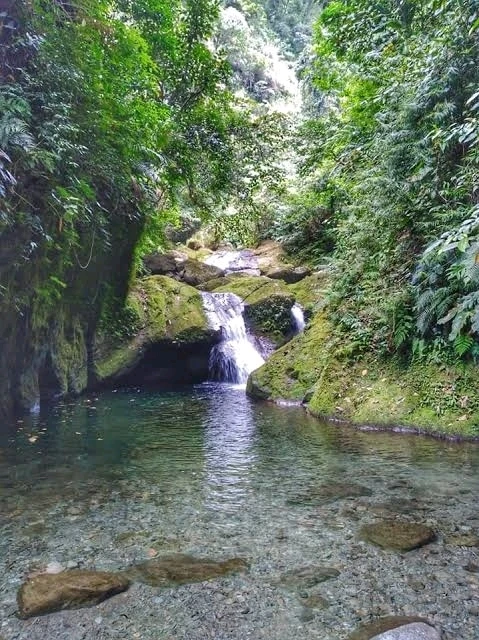 Image uploaded by Trish