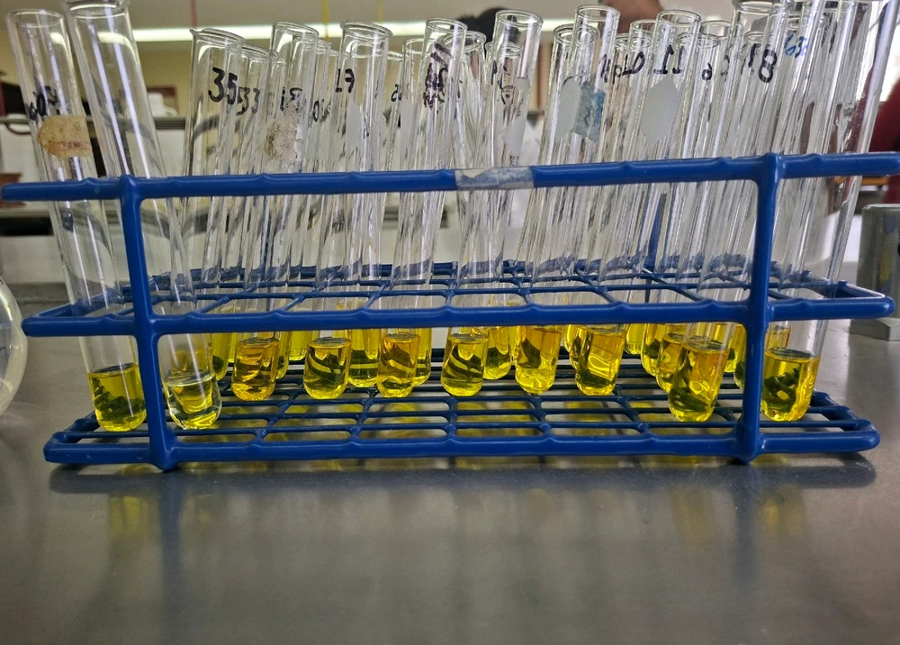 Imagen subida por Emma Sofi