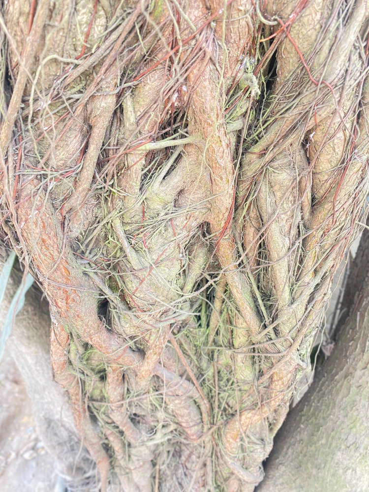 GIF uploaded by MDVICK