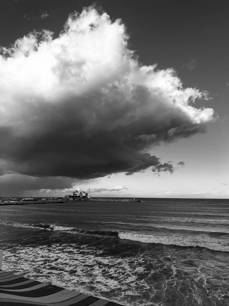 Image uploaded by Amine