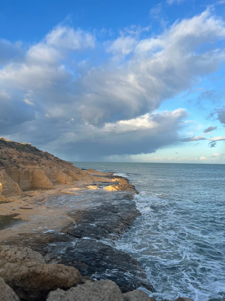 Image uploaded by Amine