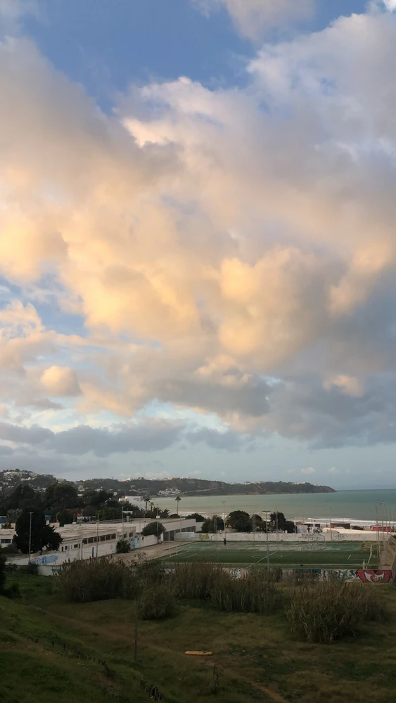 Image uploaded by Amine