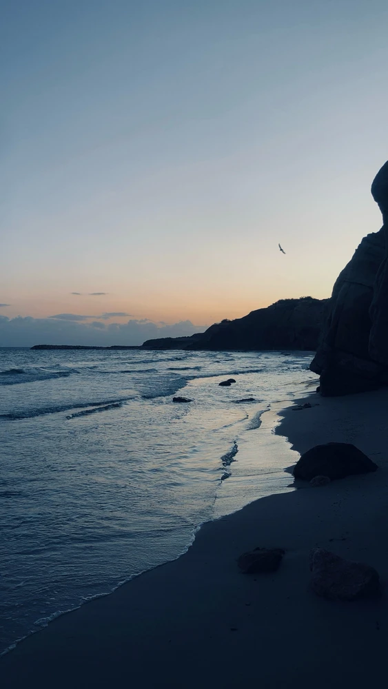 Image uploaded by Amine