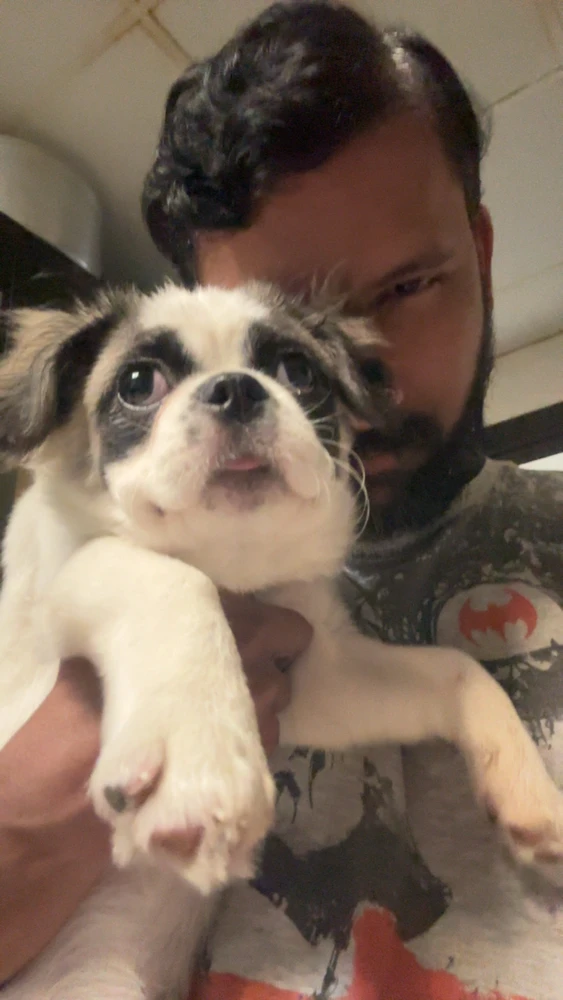 Mel上传的GIF
