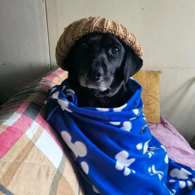 Imagen subida por Esteban