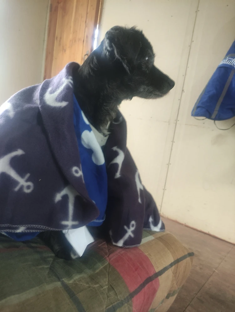 Imagen subida por Esteban