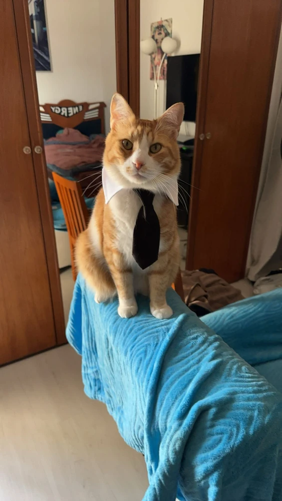 GIF uploaded by Louai