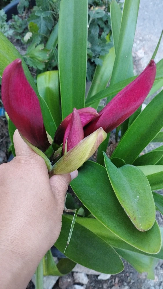 GIF uploaded by Tiatiatia