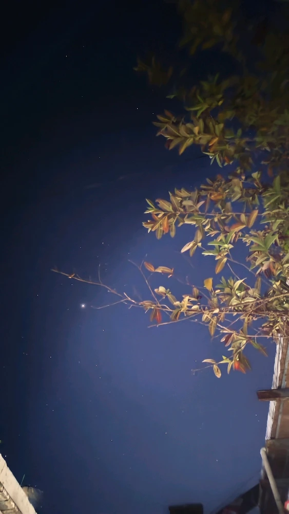 Image uploaded by Shah Jehan