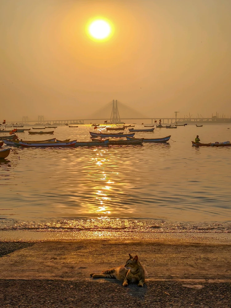 Image uploaded by Nikunjpatel8519