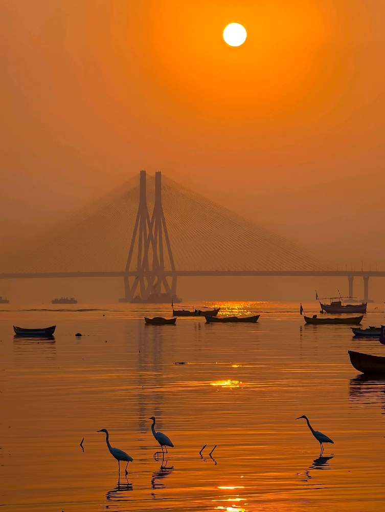 Image uploaded by Nikunjpatel8519