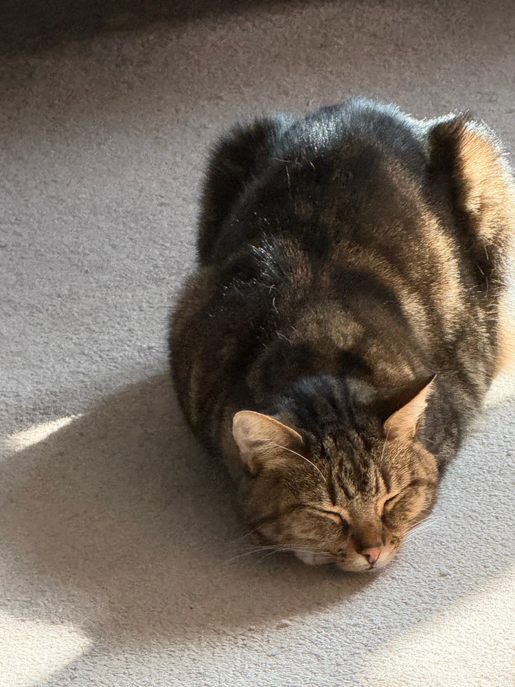 GIF uploaded by Nathan