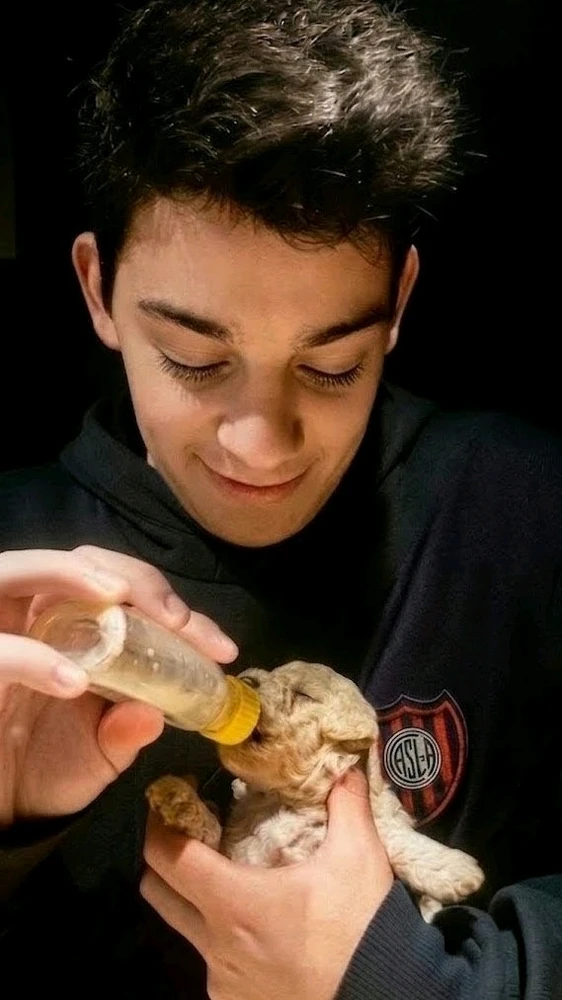 GIF subido por Javii