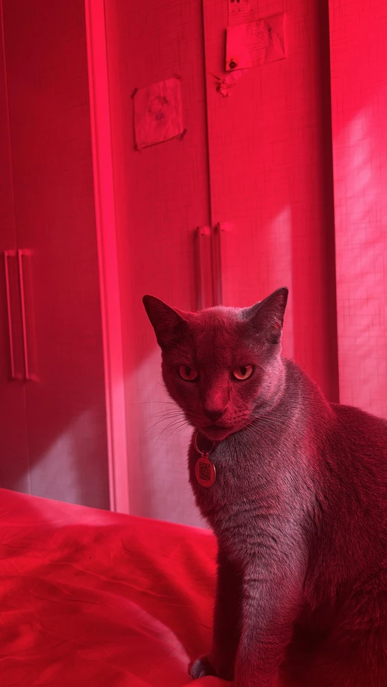 Imagem enviada por Yná