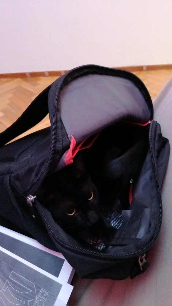 GIF uploaded by Daniel