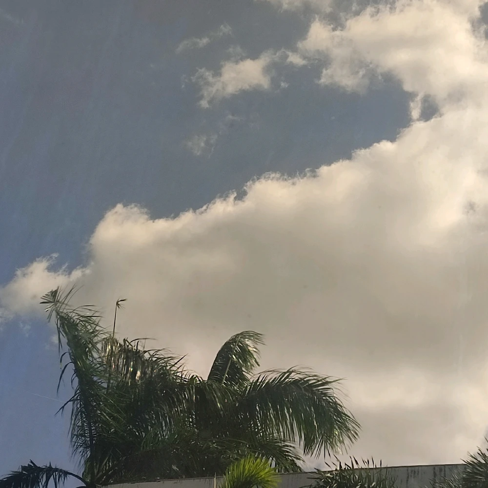 GIF uploaded by Ella