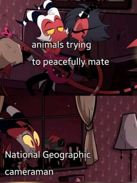 GIF uploaded by Molly