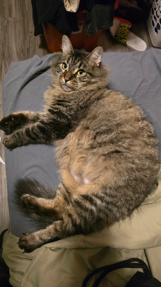 GIF uploaded by Jericho