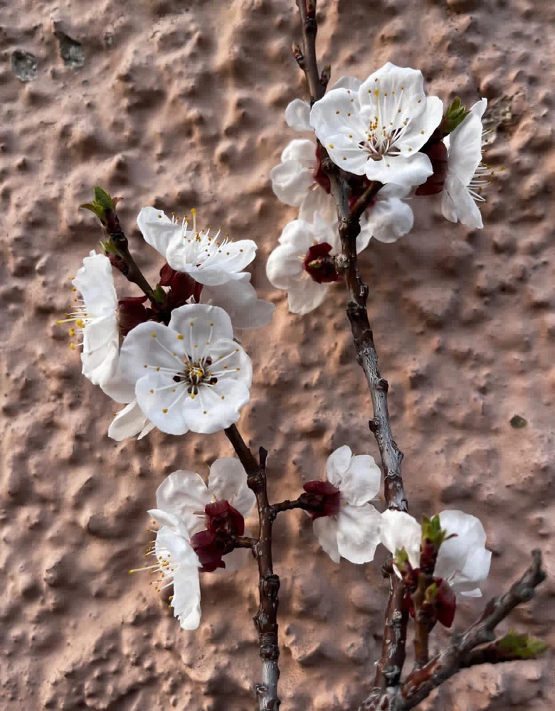 GIF uploaded by 🌙✨ℳℯ𝓁𝒶𝓃𝒾𝓆𝓊ℯ✨🌙