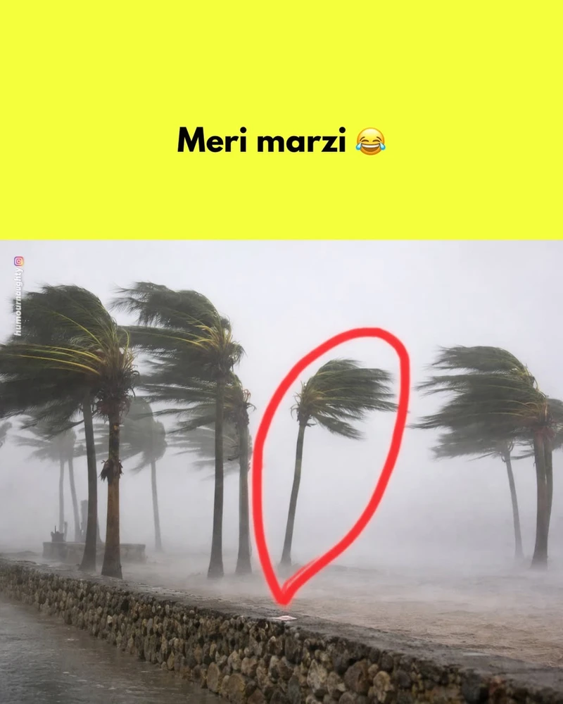 GIF uploaded by Rajwinder kaur