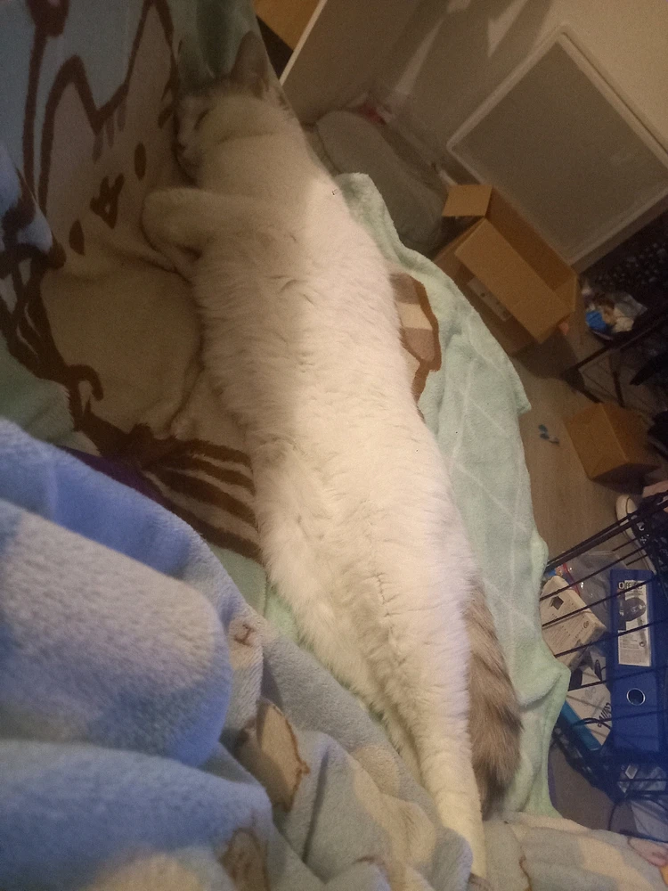 Image ajoutée par Noémie