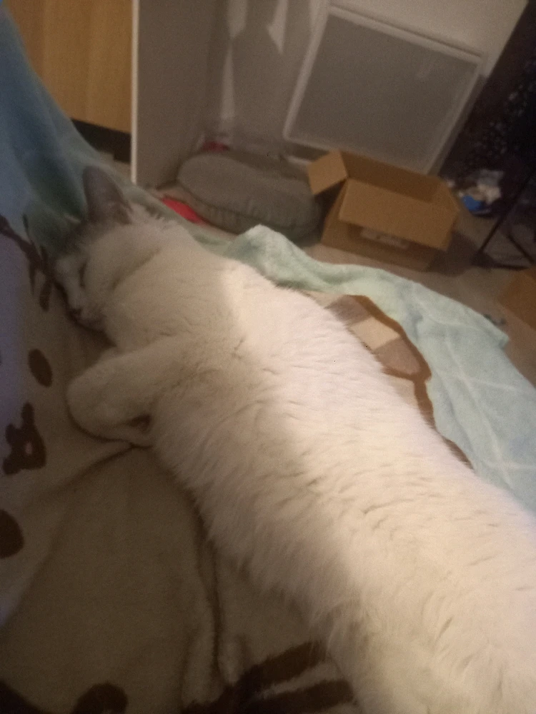 Image ajoutée par Noémie