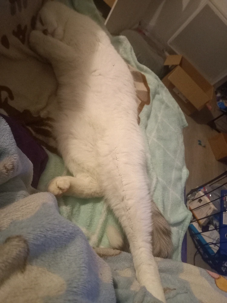 Image ajoutée par Noémie