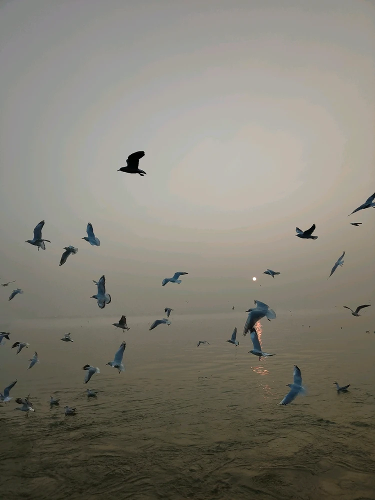 GIF uploaded by Stan