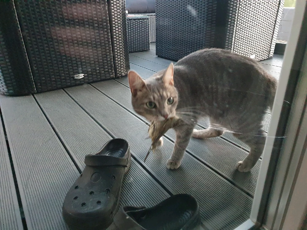 GIF uploaded by Marijan