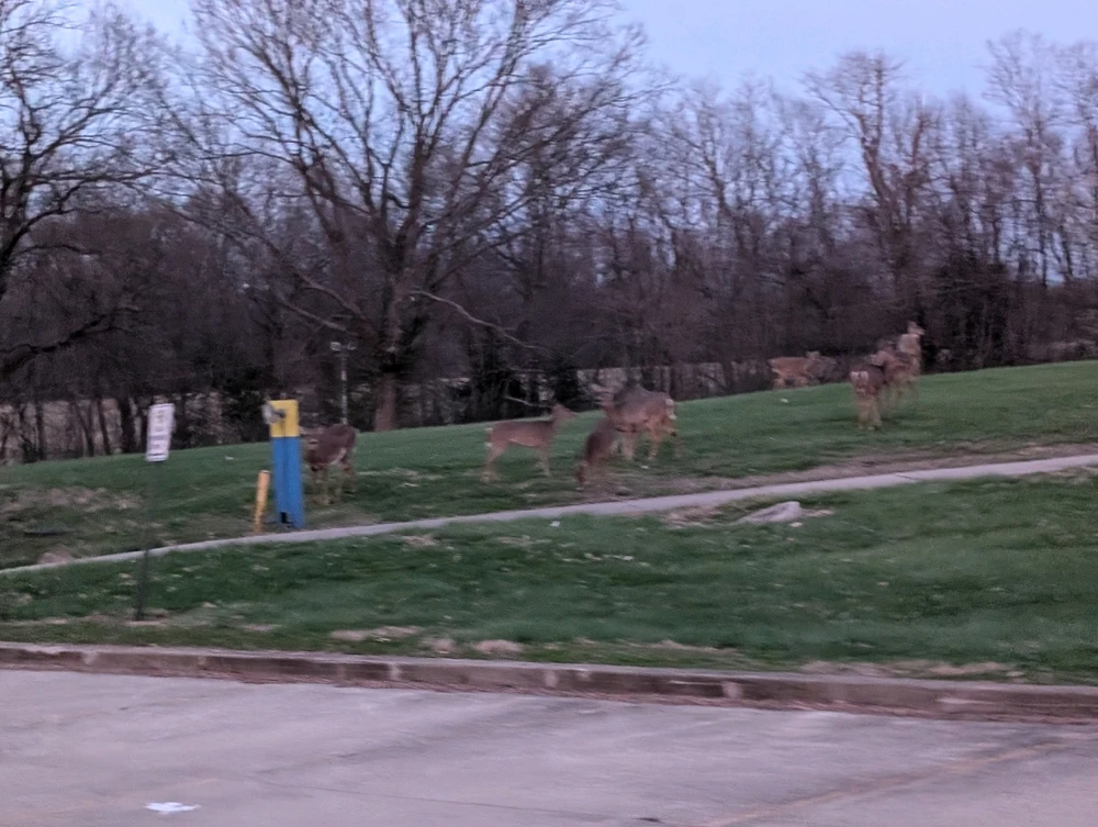 Image uploaded by Chuck