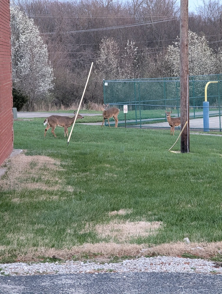 Image uploaded by Chuck