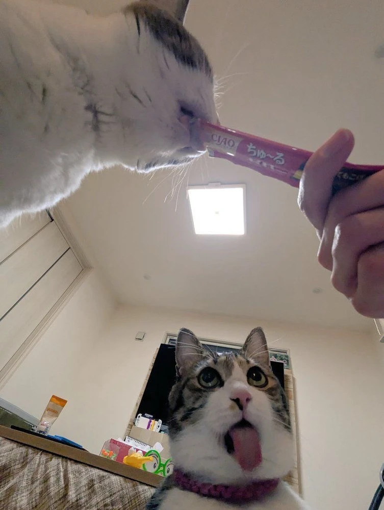 GIF subido por Mateo