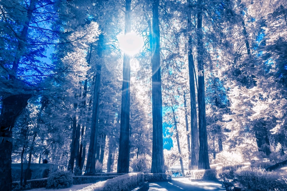 GIF uploaded by Erik