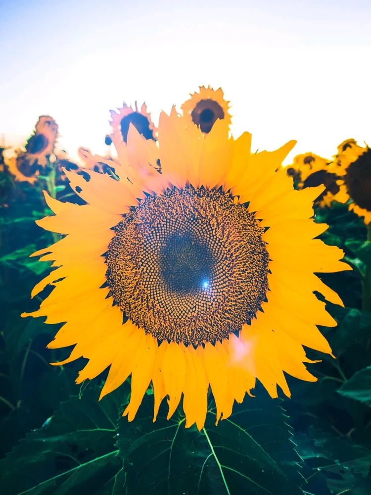 GIF uploaded by Brendan