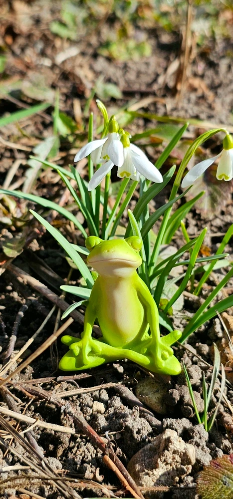 Image uploaded by Andrey