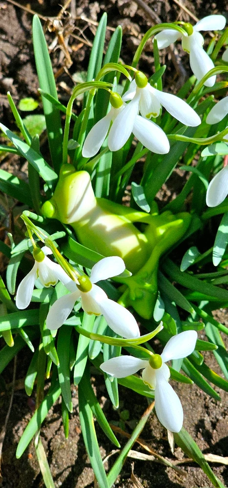 Image uploaded by Andrey