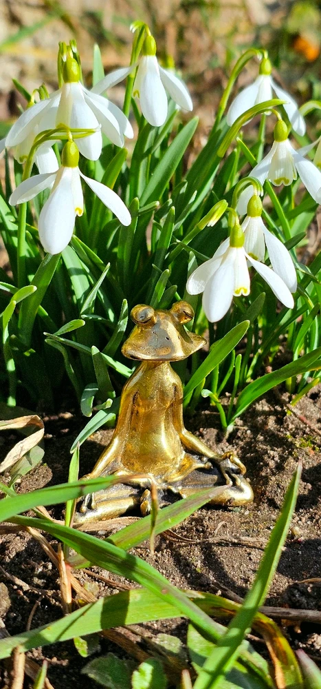 Image uploaded by Andrey