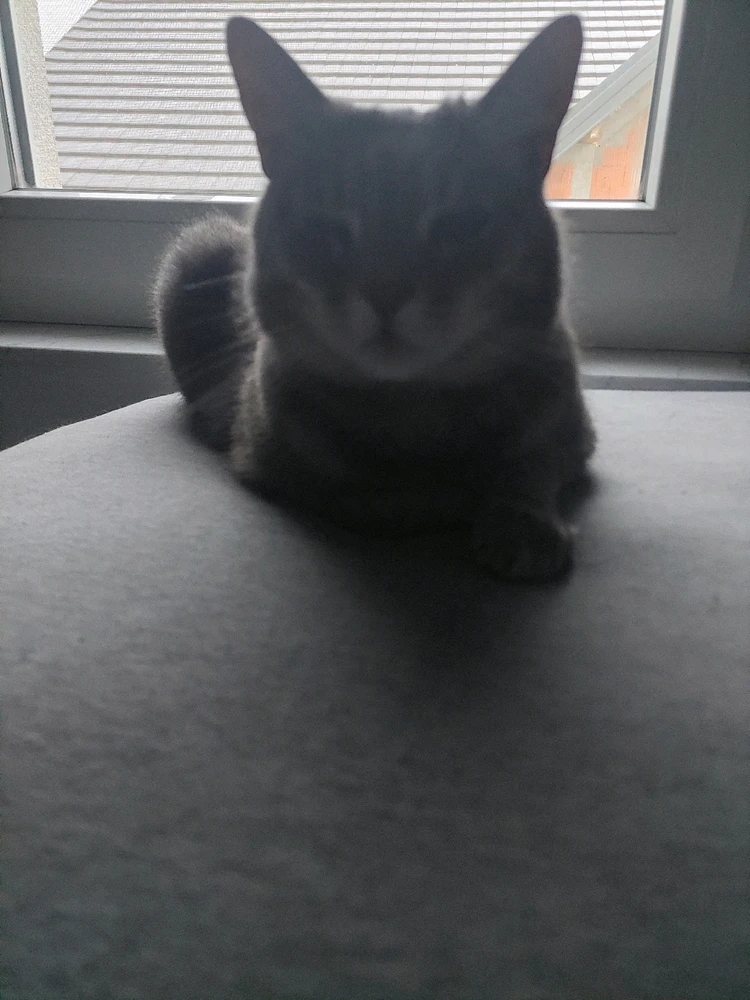 Image uploaded by Marijan