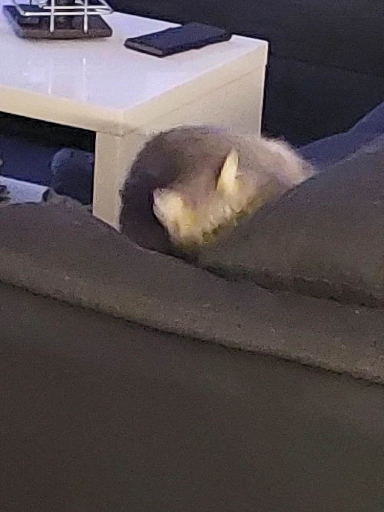 Image uploaded by Marijan