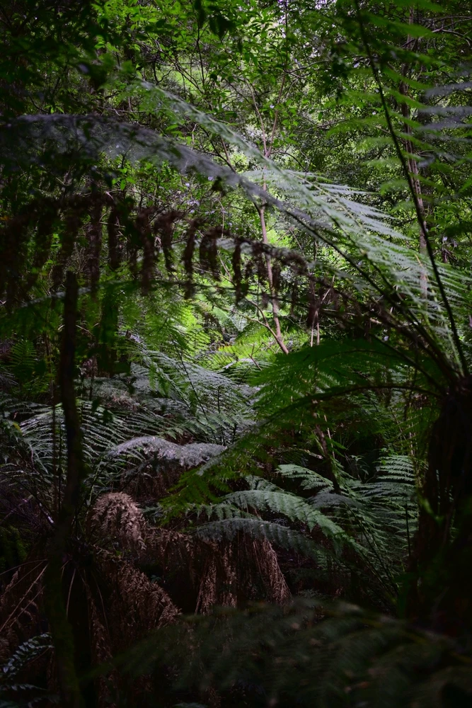 GIF uploaded by Sonny