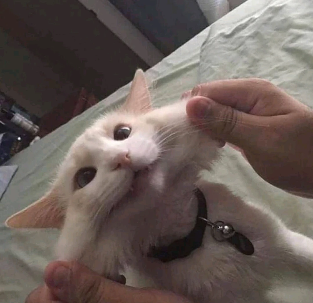 Image uploaded by Axel