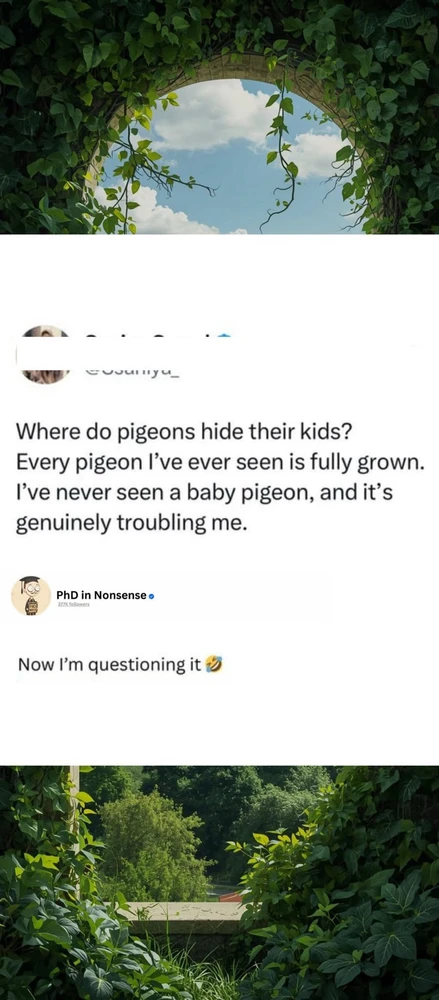 GIF uploaded by Allison