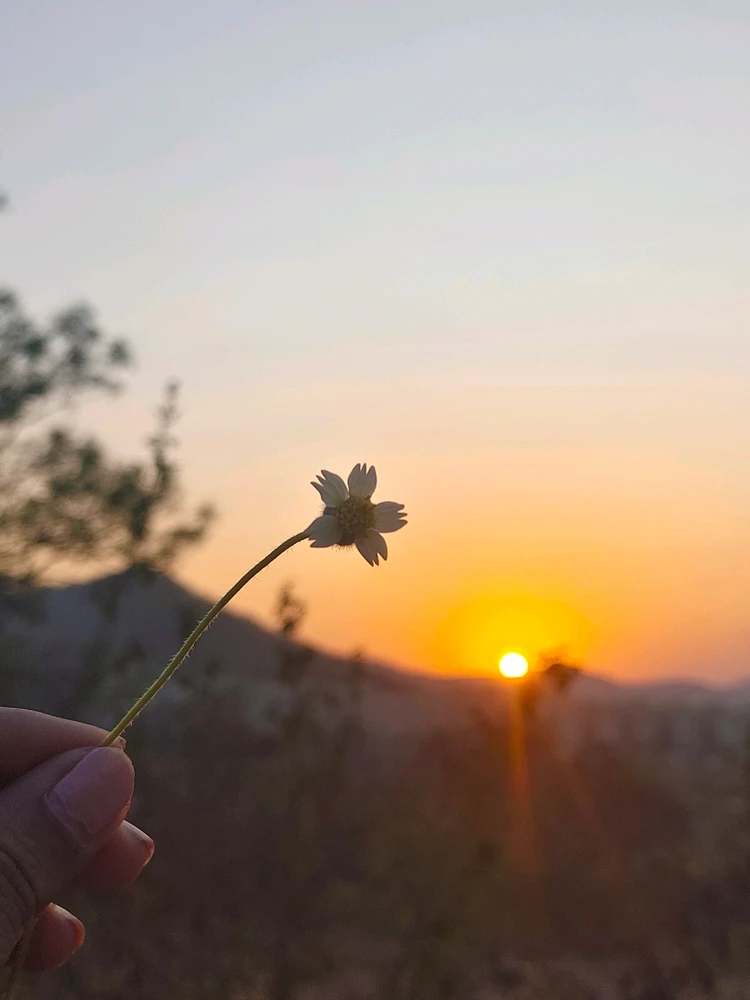 GIF uploaded by Priyanka