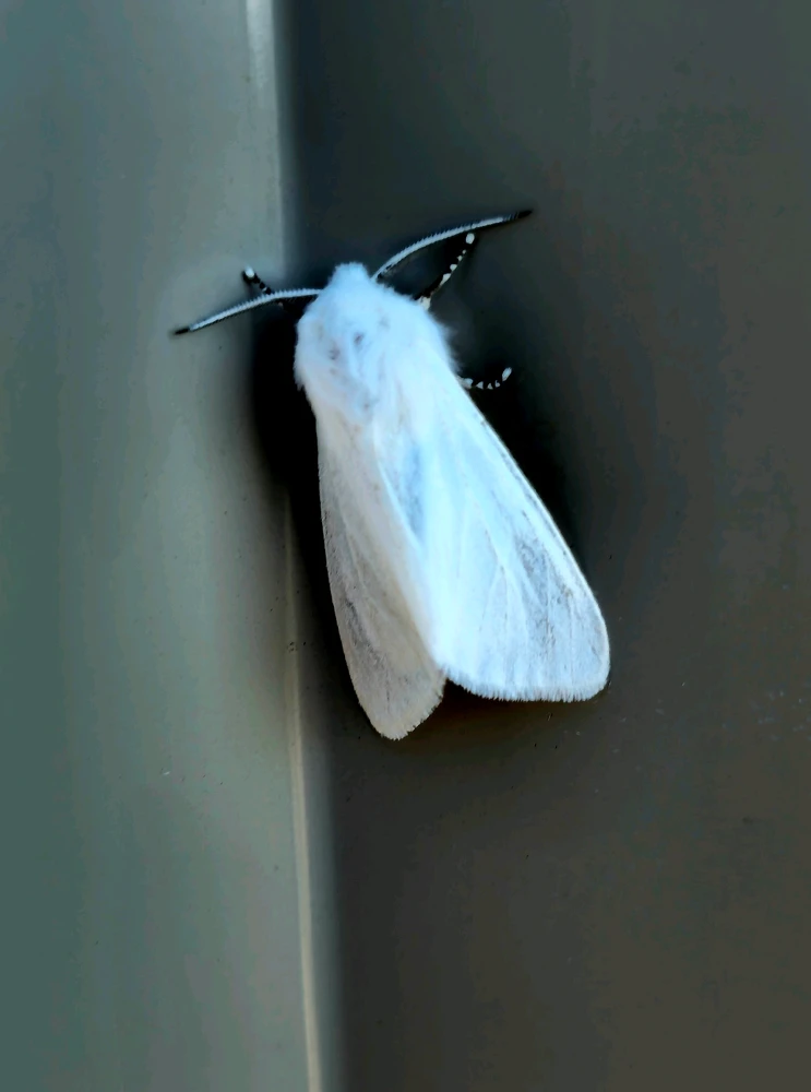 GIF uploaded by Brendan