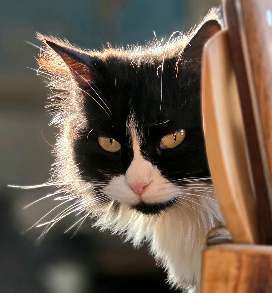 Image uploaded by Daniel