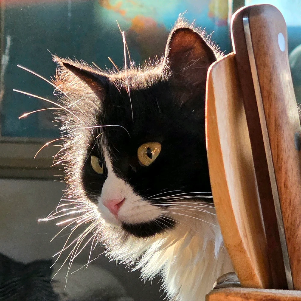 Image uploaded by Daniel