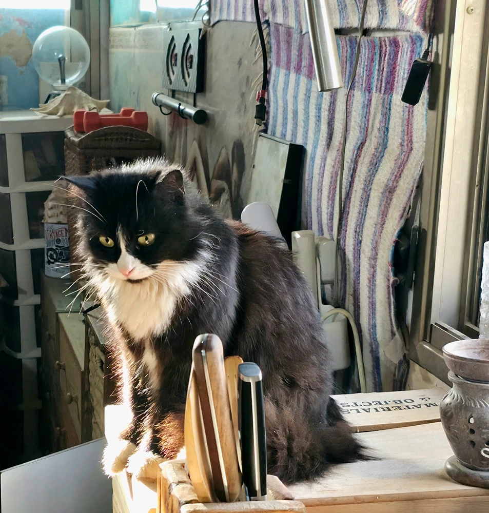 Image uploaded by Daniel