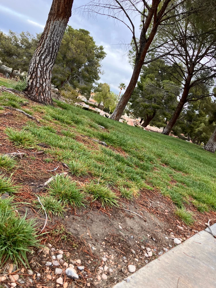 Image uploaded by Sean