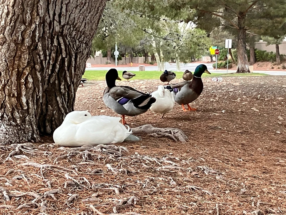 Image uploaded by Sean