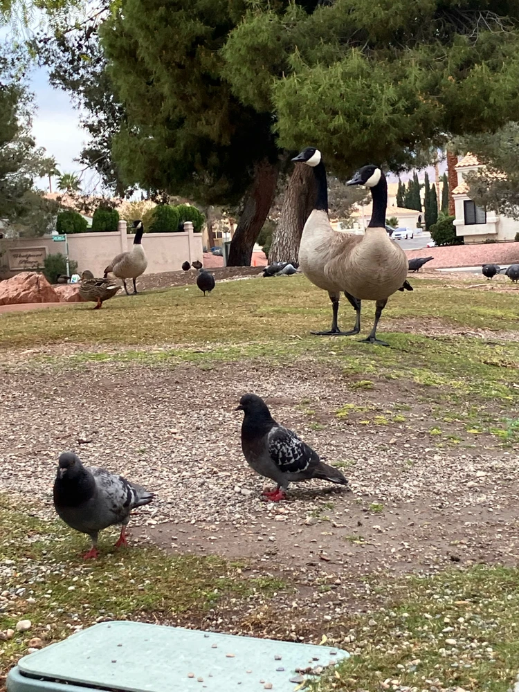 Image uploaded by Sean